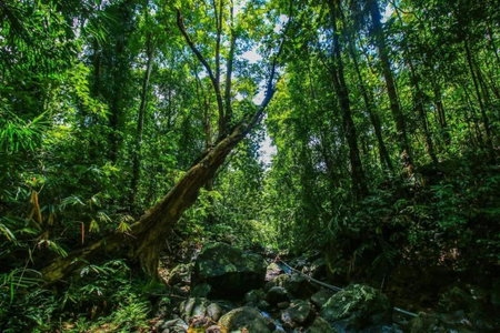 Wijaya Holiday Resort, Kiriella, Sri Lanka