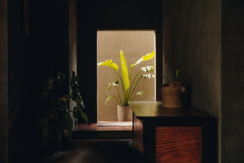Bohemian Nest, Negombo, Sri Lanka