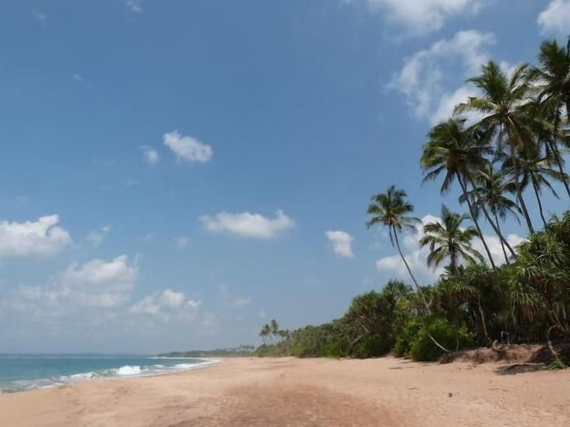 Rekawa Village Hotel, Tangalle, Sri Lanka
