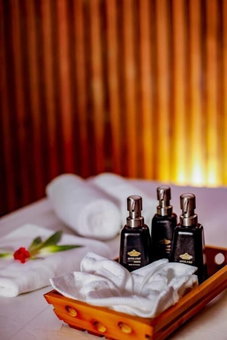 Covanro Sigiriya - Brand New Luxury Hotel, Avudangawa, Sri Lanka