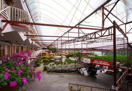 Kea Garden Guest House, Brinchang, Malaysia