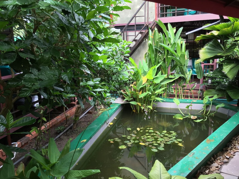 T Star Cottage, Langkawi, Malaysia