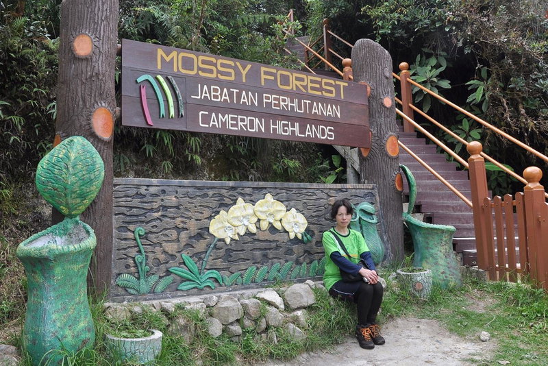 Orchid Haven, Cameron Highlands, Malaysia