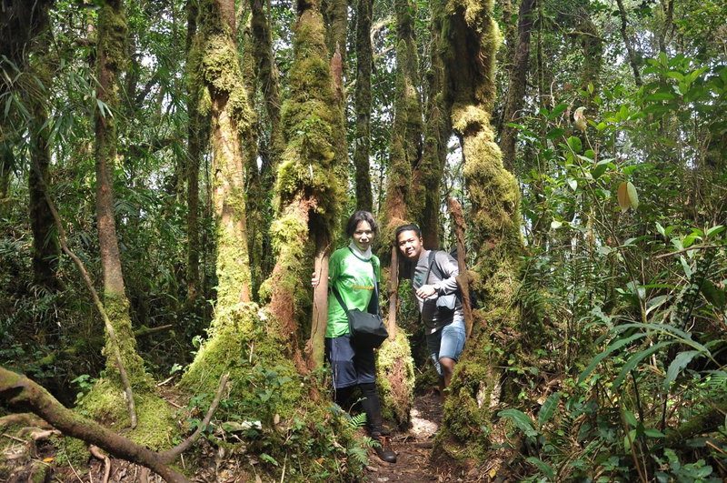 Orchid Haven, Cameron Highlands, Malaysia