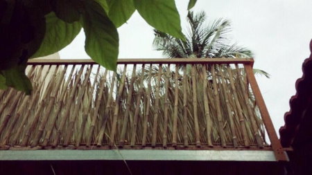 Draco - Thang Long Hotel, Hai Phong, Vietnam