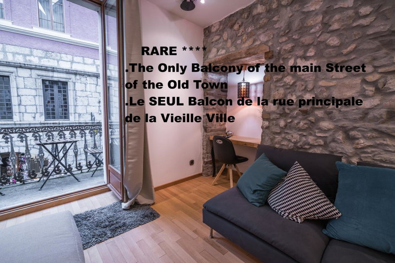 Le Balcon de la Vieille Ville Annecy, Annecy, France