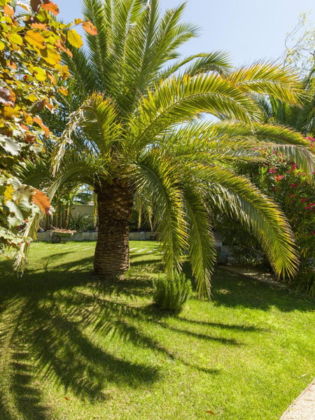 Hôtel l'Amandière, Saint-Rémy-de-Provence, France