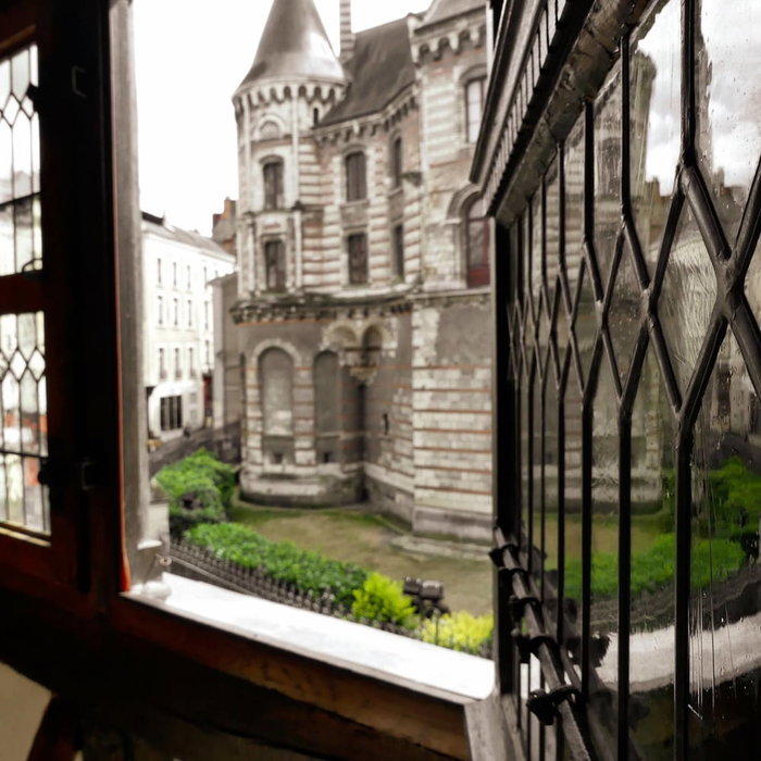 L'Oisellerie meublé de tourisme, Angers, France