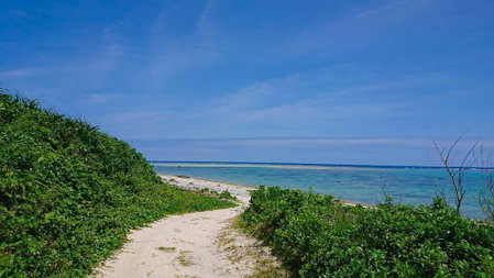 guest house Holoholo beach side - Hostel, Ishigaki, Japan