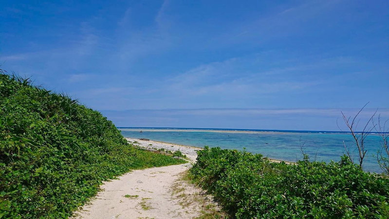 guest house Holoholo beach side - Hostel, Ishigaki, Japan