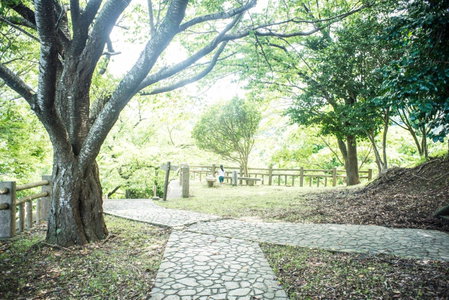 Book & Guesthouse Hitotomaru, Toyooka, Japan