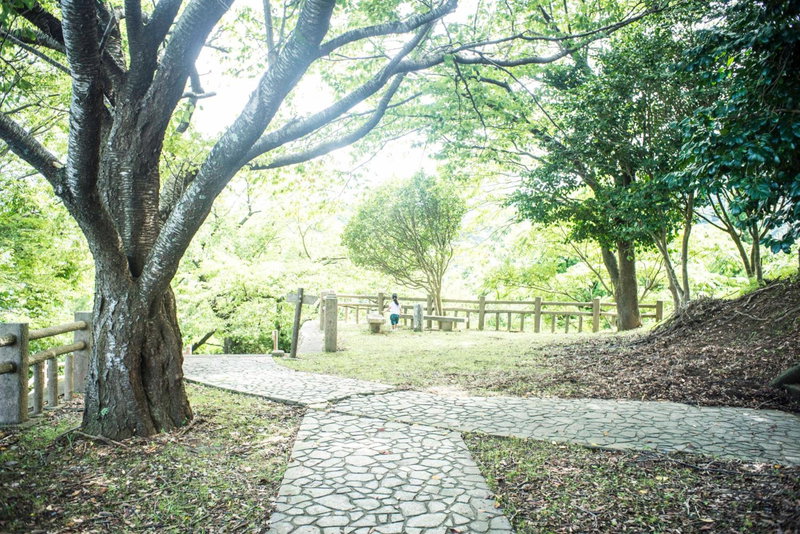Book & Guesthouse Hitotomaru, Toyooka, Japan