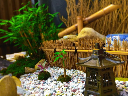 Guest House Oumi - Hostel, Kyoto, Japan