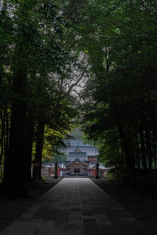 Kirishima Momijidani Seiryuso, Kirishima, Japan