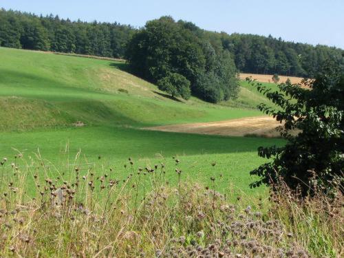Landgasthof zur Post, Heiligenberg, Germany