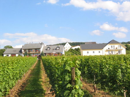 Pension und Weingut Moselblick, Brauneberg, Germany