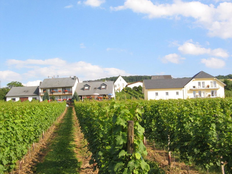 Pension und Weingut Moselblick, Brauneberg, Germany