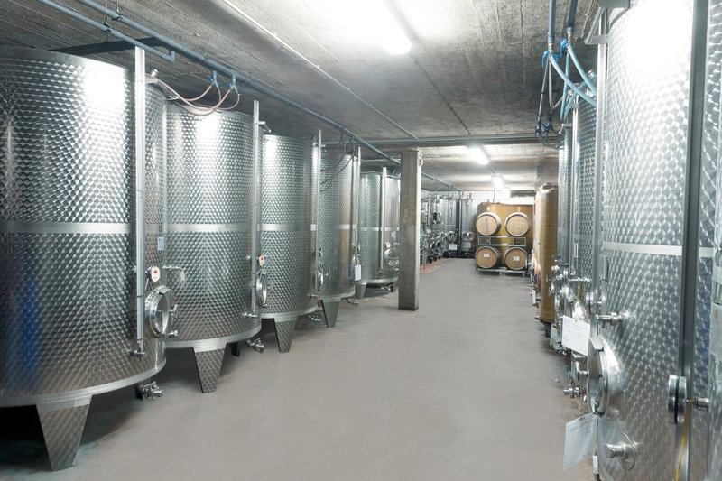 Pension und Weingut Moselblick, Brauneberg, Germany