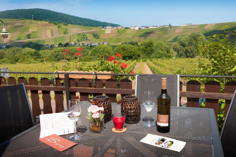 Pension und Weingut Moselblick, Brauneberg, Germany