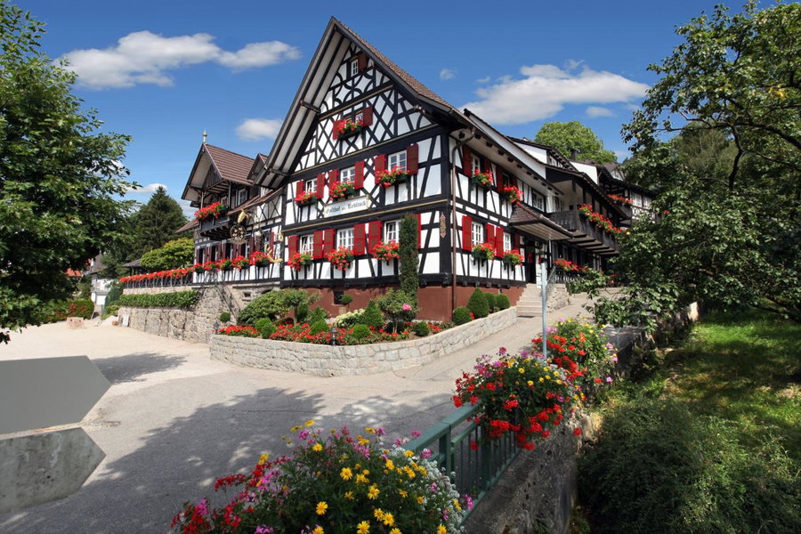 Rebstock Waldulm, Kappelrodeck, Germany