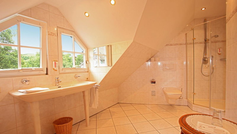 Rebstock Waldulm, Kappelrodeck, Germany
