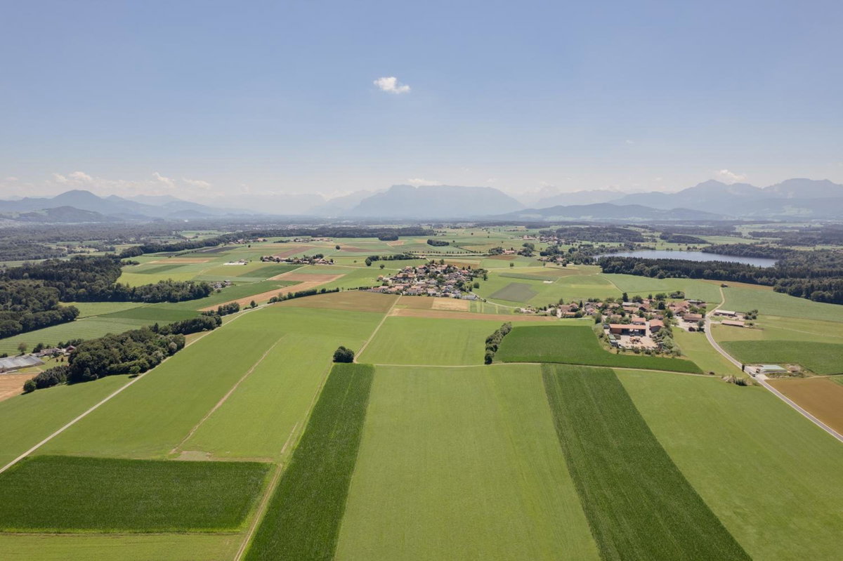 zumOXN, Germany
