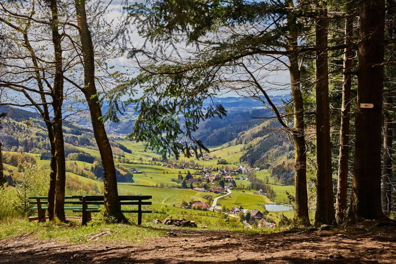 ElzLand Hotel Pfauen WELLNESS & SPA, Elzach, Germany