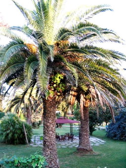 Hotel Parco Dei Principi, Anzio, Italy