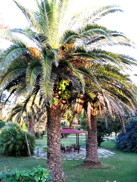 Hotel Parco Dei Principi, Anzio, Italy