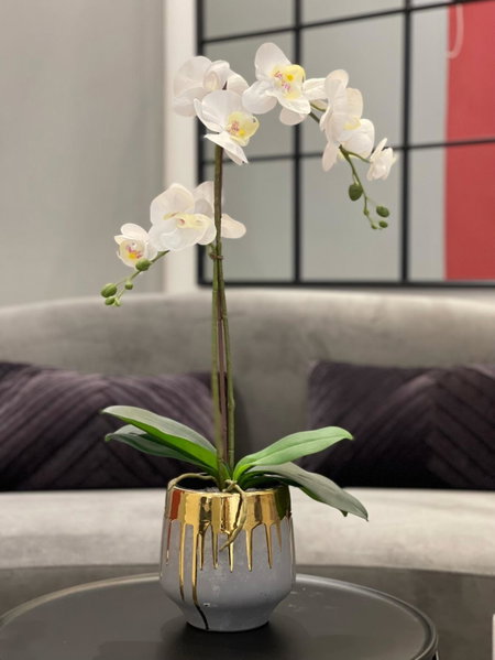 Cesare ai Cavalieri Suites, Rome, Italy