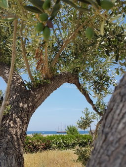 Bed & Breakfast del Faro, Giovinazzo, Italy