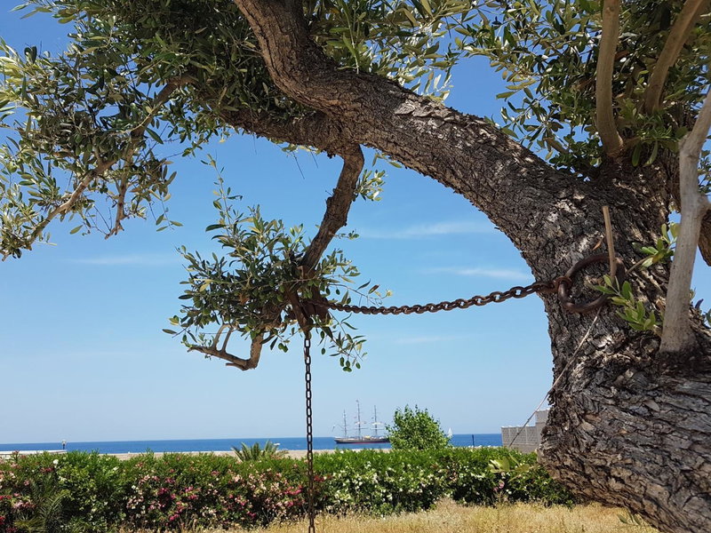 Bed & Breakfast del Faro, Giovinazzo, Italy