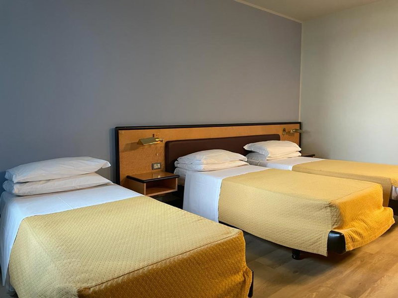 Art & Hotel Treviolo, Treviolo, Italy