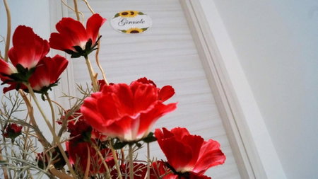 B&B La Vie en Rose, Salerno, Italy