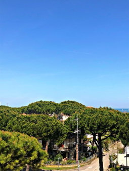 Hotel del Falco, Cervia, Italy