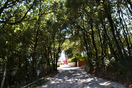 B&B Spring, Perugia, Italy