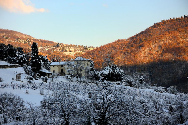 Tenuta dei Cavalieri, Molino del Piano, Italy