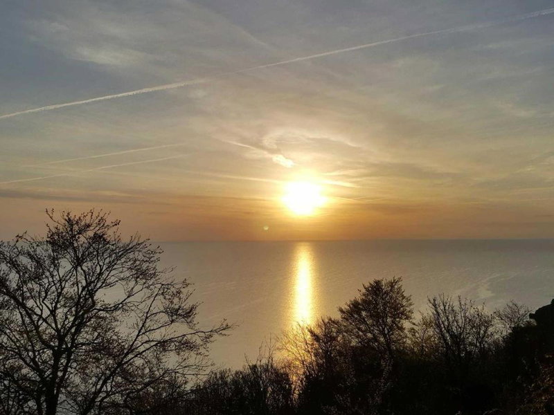 Babbacombe Palms, Torquay, United Kingdom