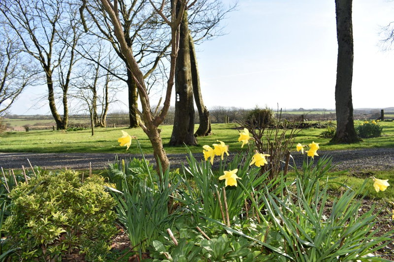 Crug Glas Country House, St. Davids, United Kingdom