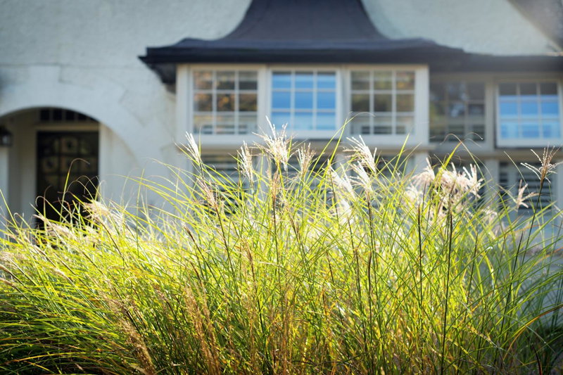 Daisybank Cottage Boutique Bed and Breakfast, Brockenhurst, United Kingdom