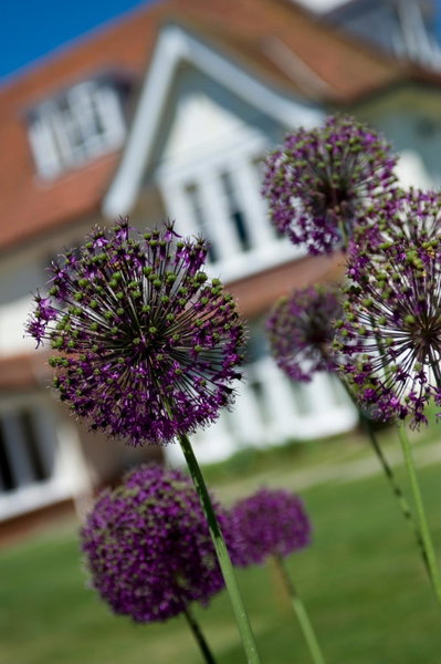 Park House Hotel, Midhurst, United Kingdom