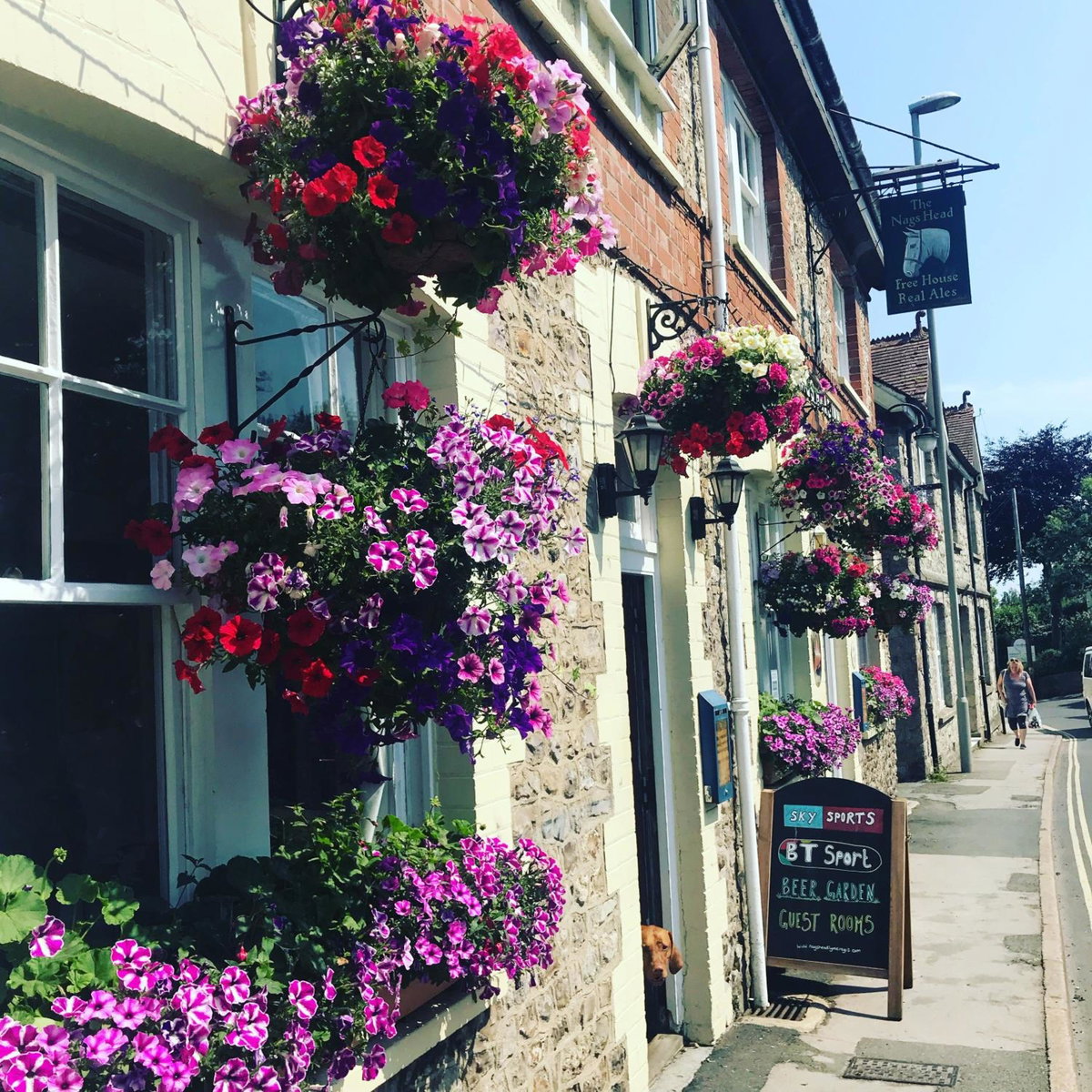 The Nags Head - Room only accommodation, United Kingdom
