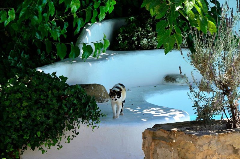 Hotel Humaina, Málaga, Spain