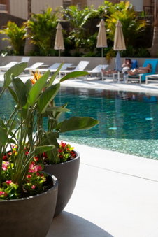AQUA Hotel Promenade & Spa 4Sup, Pineda de Mar, Spain