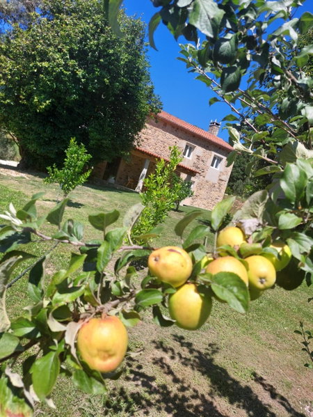 A Quinta Das Maceiras, San Miguel de Castro, Spain