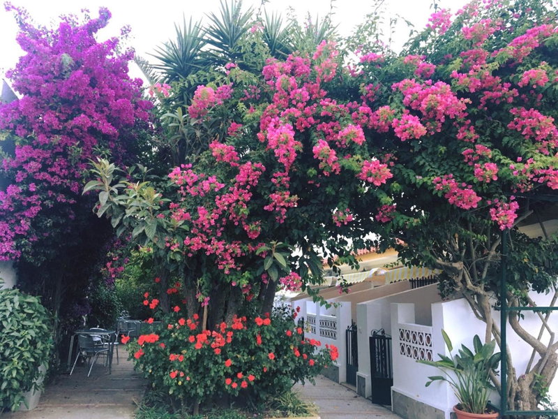 Hotel Antonio Conil, Conil de la Frontera, Spain