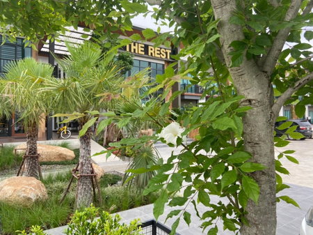 The Rest Hotel - ประจวบ, Prachuap Khiri Khan, Thailand