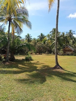 Koh Mook Oyoy Reggaebar Bungalow, Ko Mook, Thailand