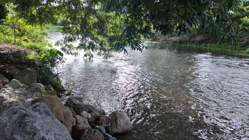 โคซี่ โฮมสเตย์, Suan Phung, Thailand