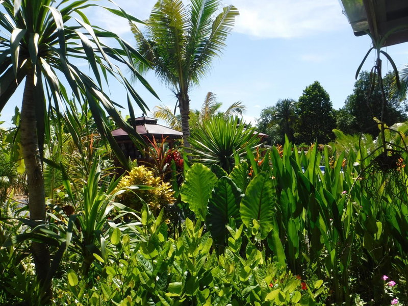 Canachri Resort, Ban Thung Pho, Thailand